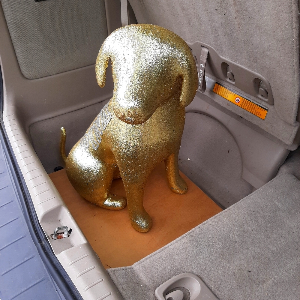 Vs pink dog (do not buy)